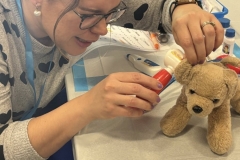 Shelton-Library-Teddy-Bear-Clinic-May-2025-7