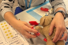 Shelton-Library-Teddy-Bear-Clinic-May-2025-9